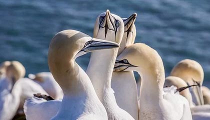 kaiyun开云·官方网站-克劳利镇阵容深度提升，红魔低调冲刺附加赛，克劳利狂潮