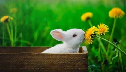 kaiyun中国官方网站-锋线跑位是否比脚下技术更影响破门转化率，锋线技巧