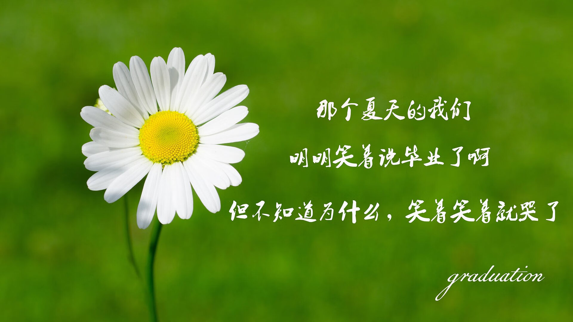 拜仁3-2多特，莱万梅开二度助力，拜仁5-1狂胜 莱万梅开二度