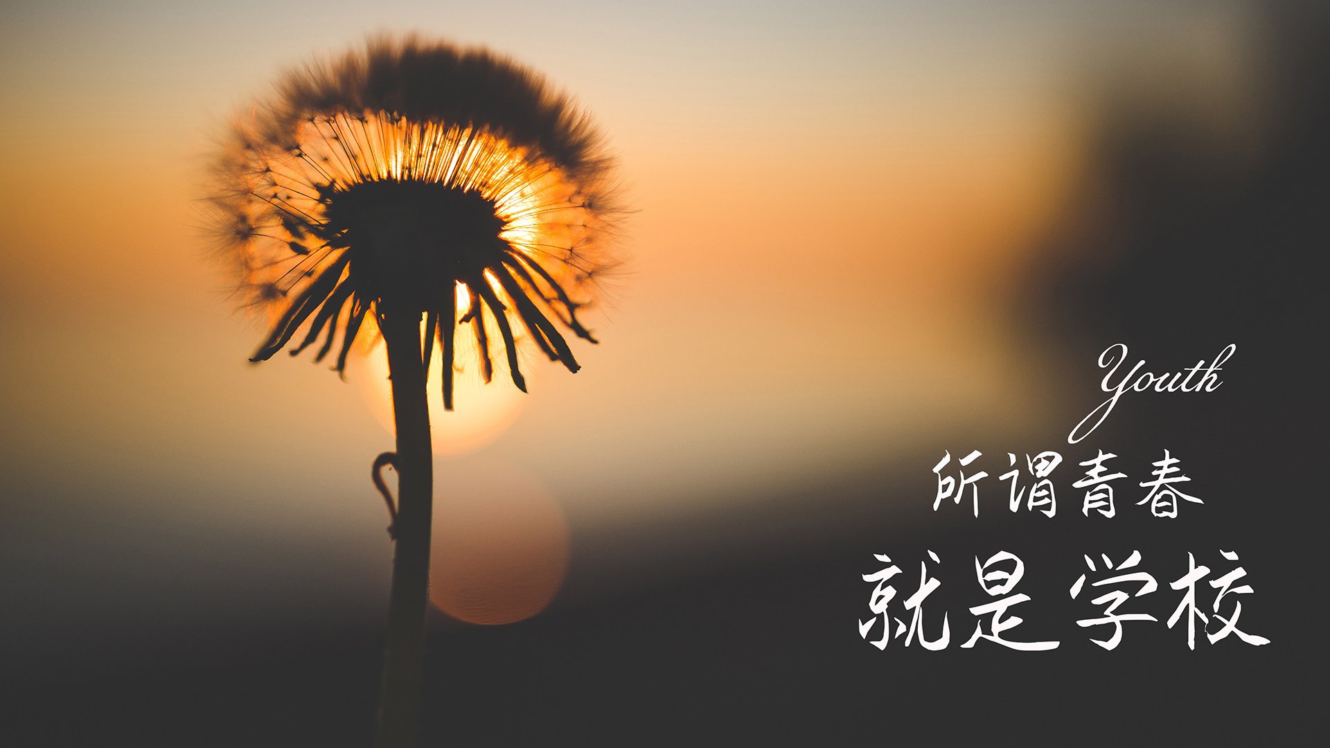 极限单车攀爬赛：城市障碍的智慧突破，极限自行车比赛视频