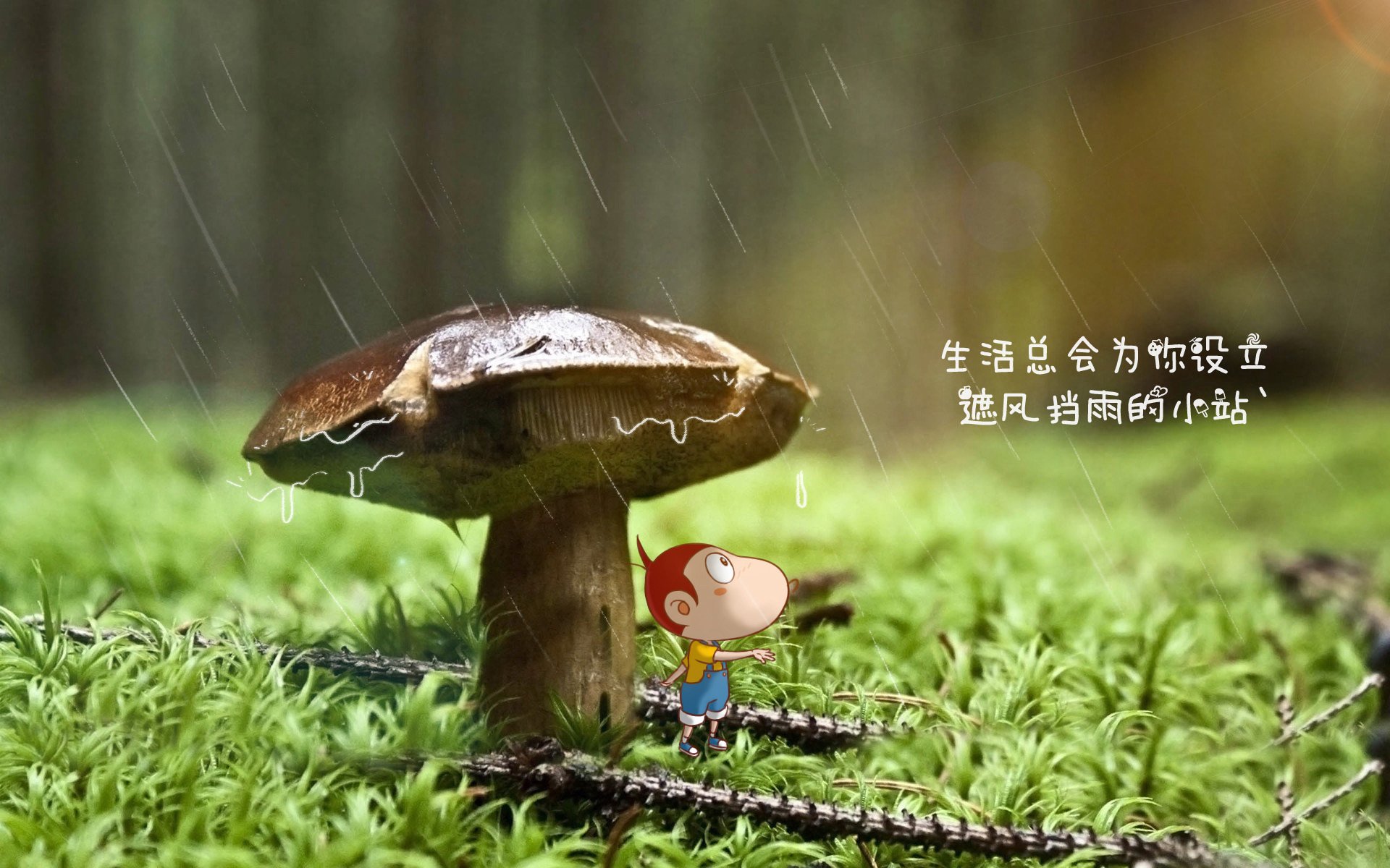极限单车攀爬赛：城市障碍的智慧突破，极限自行车比赛视频